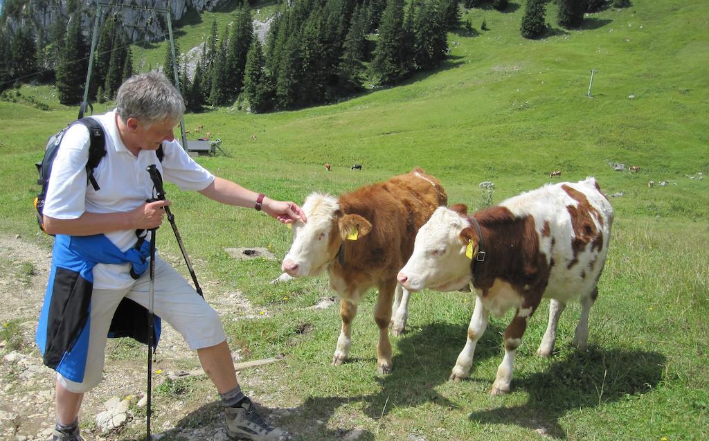 Haus Tirol Διαμέρισμα Thiersee Δωμάτιο φωτογραφία